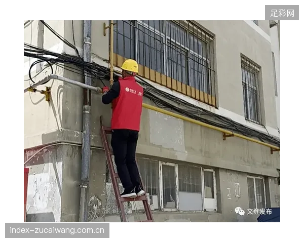 德国经验审视中国场馆：NextKraftwerke如何捆绑中小能源资产参与电网平衡获利